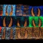 metalicke pigmenty do pryskyrice Metalické pigmenty v epoxidové pryskyřici - ukázka možných barev